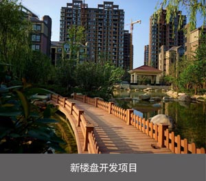 2层升降式机械式丝瓜视频免费下载位新楼盘开发项目